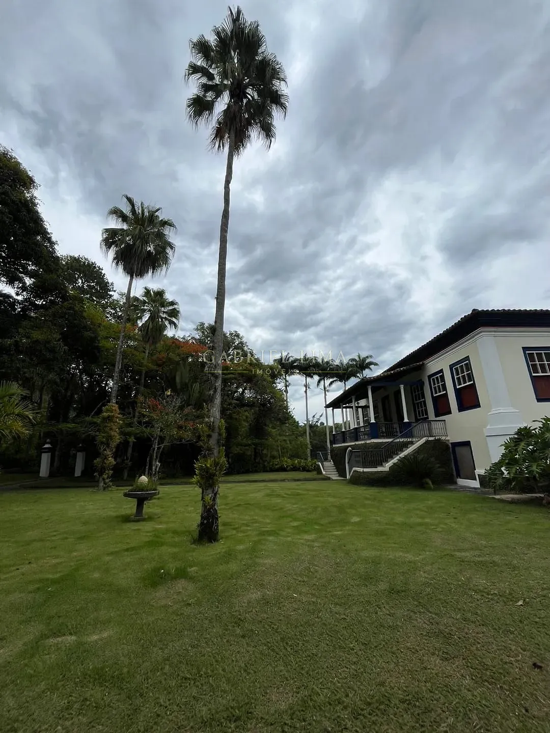 Fazenda, 215 hectares - Foto 11