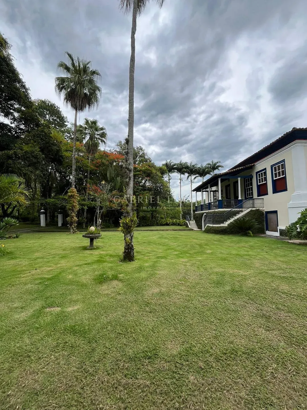 Fazenda, 215 hectares - Foto 10