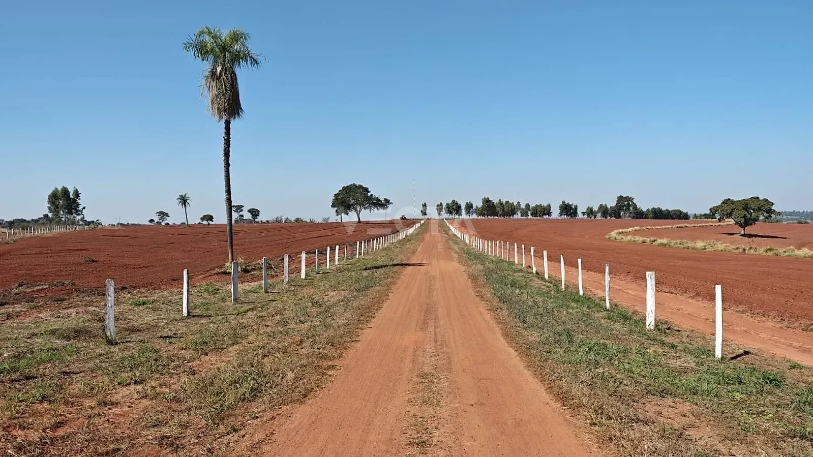 Fazenda, 200 m² - Foto 14