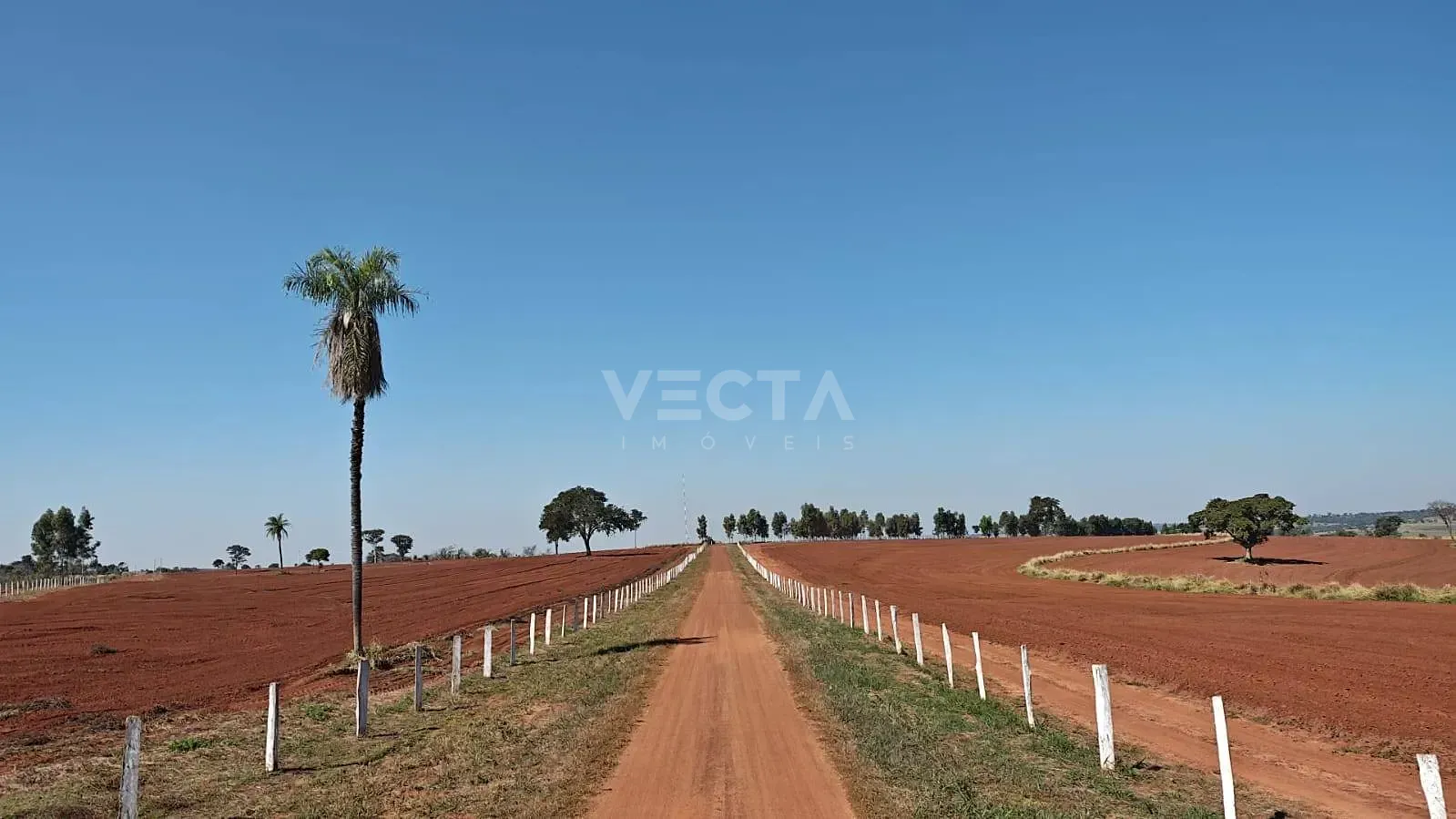 Fazenda, 200 m² - Foto 15