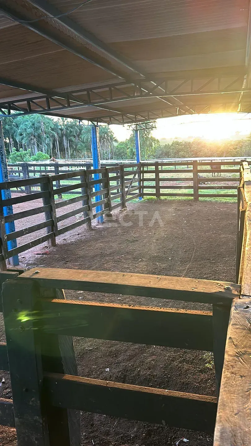 Fazenda, 200 m² - Foto 18