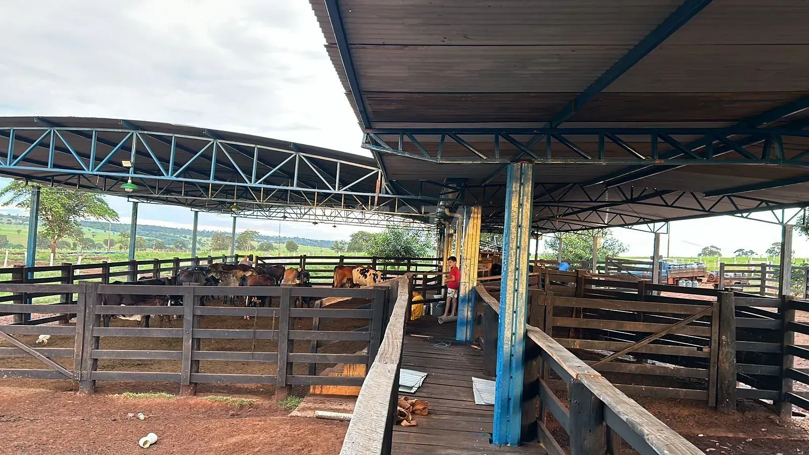 Fazenda, 200 m² - Foto 19