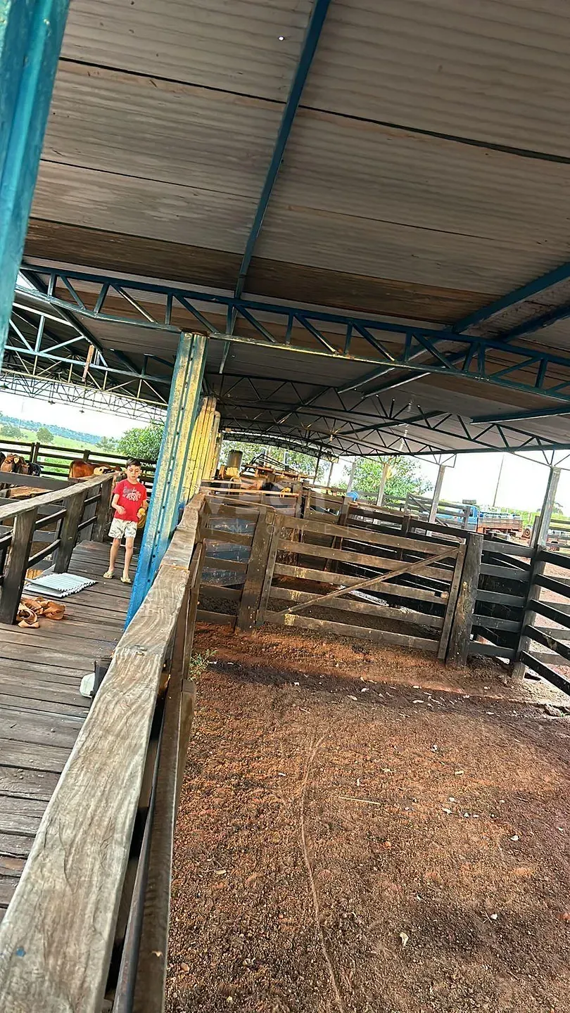 Fazenda, 200 m² - Foto 22
