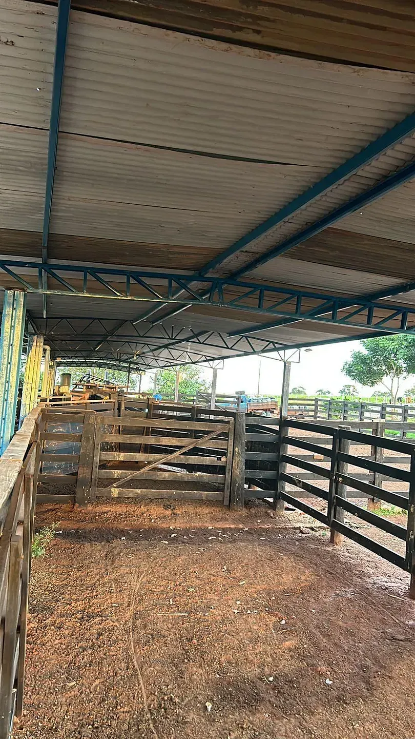 Fazenda, 200 m² - Foto 25