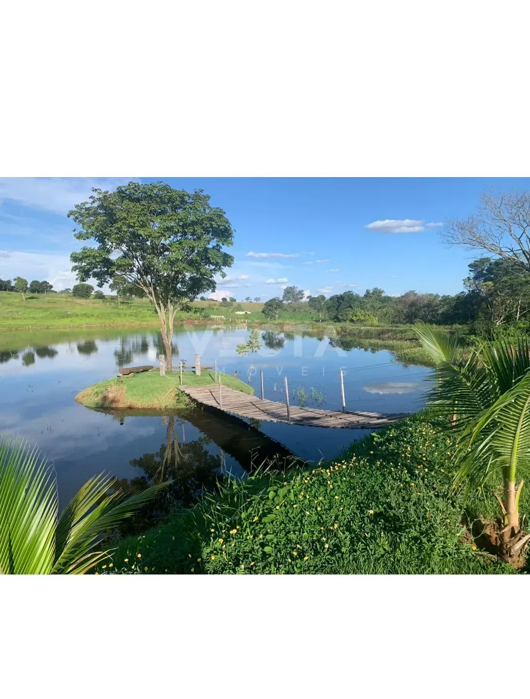 Fazenda, 200 m² - Foto 11