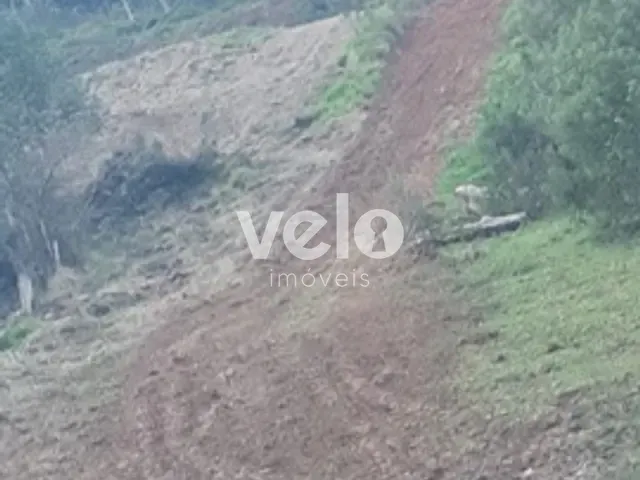 Fazenda com 40089m², à venda, no bairro Nossa Senhora do Perpétuo Socorro em Pindamonhangaba