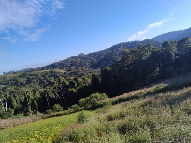 Fazenda com 1580000m² 3 quartos e 2 banheiros, à venda, no bairro Piaçu em Muniz Freire