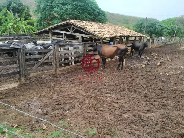 Fazenda com 48400m² 4 quartos e 3 banheiros, à venda, no bairro Região Valo Fundo em Santo Hipólito