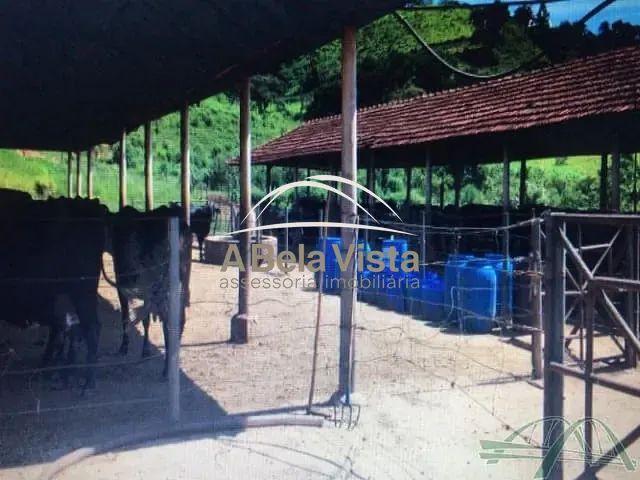 Fazenda com 2173600m² 4 quartos e 2 banheiros, à venda, no bairro POUSO ALTO em São Lourenço