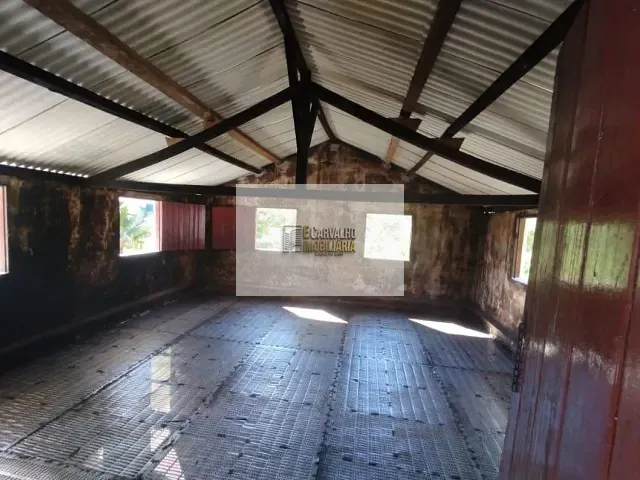 Fazenda com 620000m² 2 quartos e 3 banheiros, à venda, no bairro RURAL em Camamu