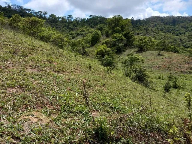 Fazenda com 33360m², à venda, no bairro Zona Rural em Mesquita