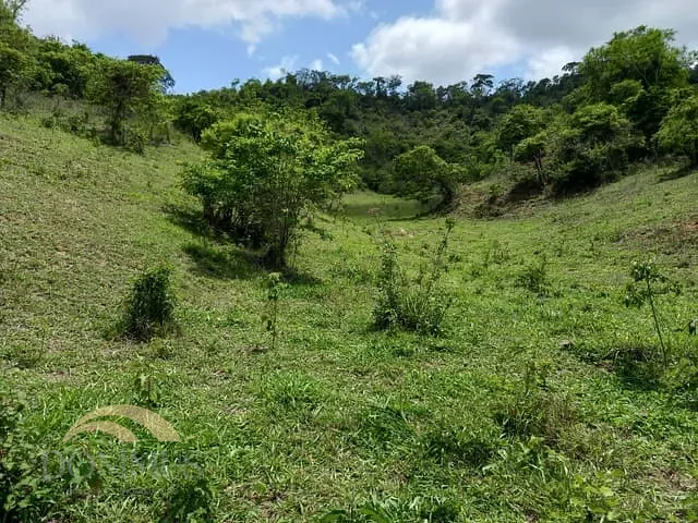 Fazenda com 33360m², à venda, no bairro Zona Rural em Mesquita