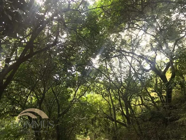 Fazenda com 33360m², à venda, no bairro Zona Rural em Mesquita
