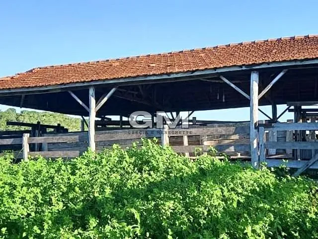 Fazenda com 12510000m² 3 quartos e 2 banheiros, à venda, no bairro Área Rural em Coxim
