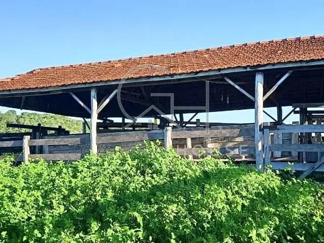 Fazenda com 12510000m² 3 quartos e 2 banheiros, à venda, no bairro Área Rural em Coxim