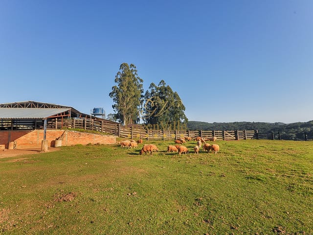 Foto do Fazenda - Campo Largo, Fazenda  Confinamento/ Haras / Reflorestamento/ Gado, 52 alqueires, à venda Itambé, Paraná | Imobiliária GreenVille