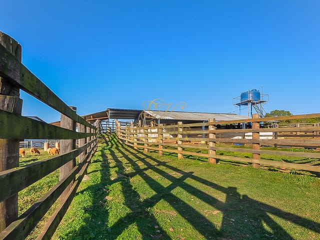 Foto do Fazenda - Campo Largo, Fazenda  Confinamento/ Haras / Reflorestamento/ Gado, 52 alqueires, à venda Itambé, Paraná | Imobiliária GreenVille