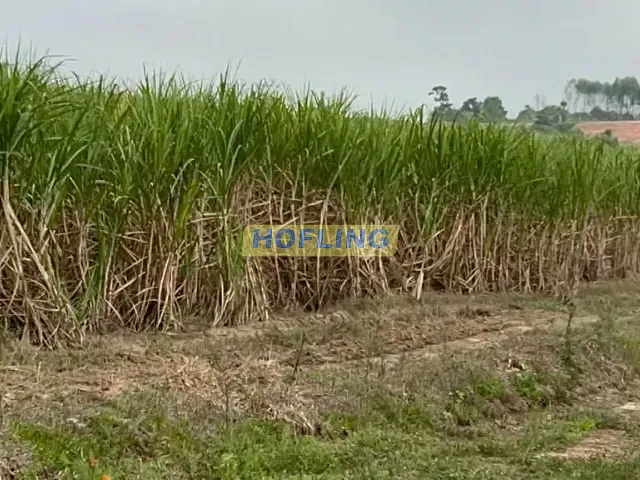 Fazenda com 1059990m², à venda, no bairro Centro em Ipeúna