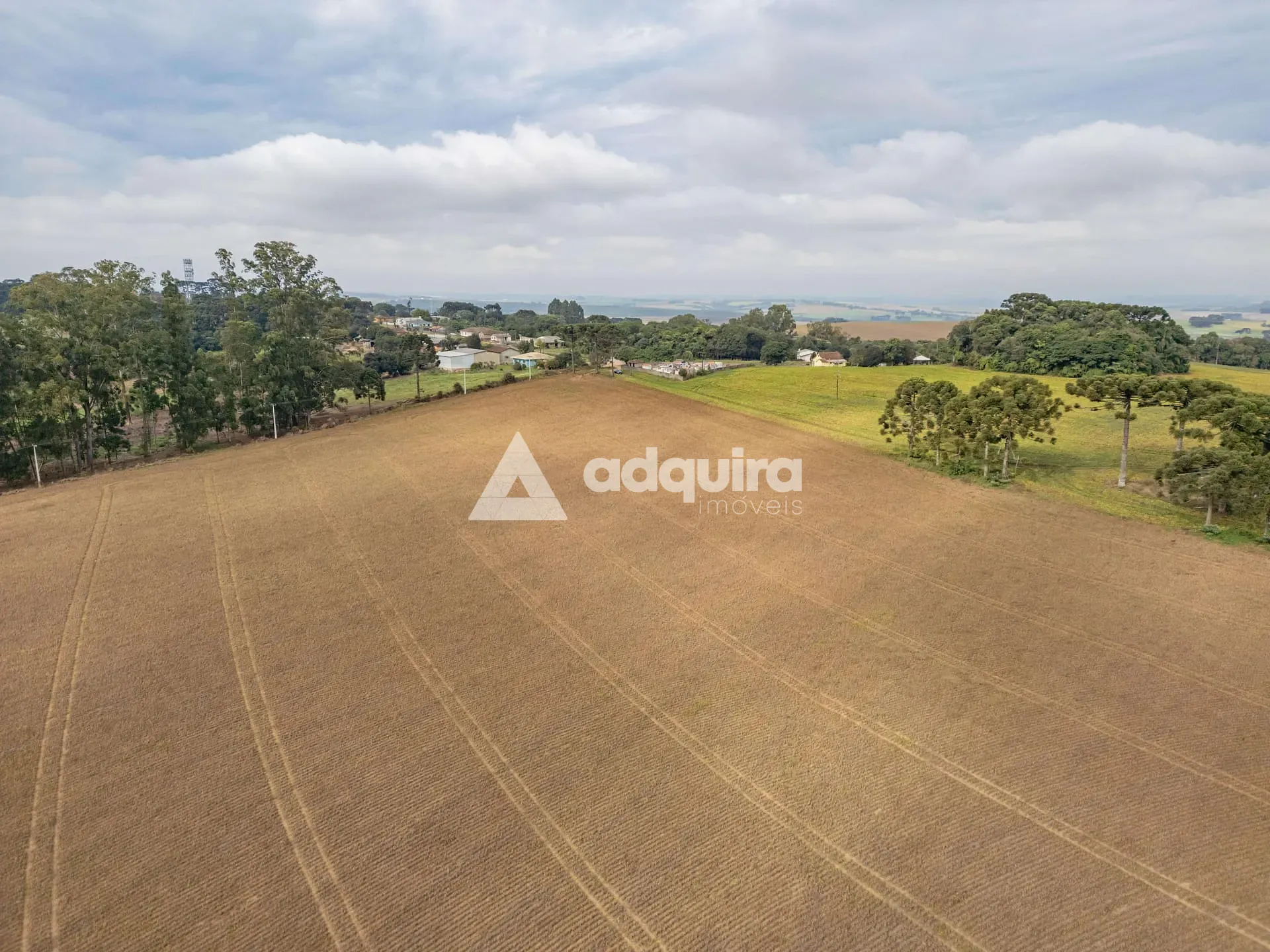 Fazenda, 16 hectares - Foto 2
