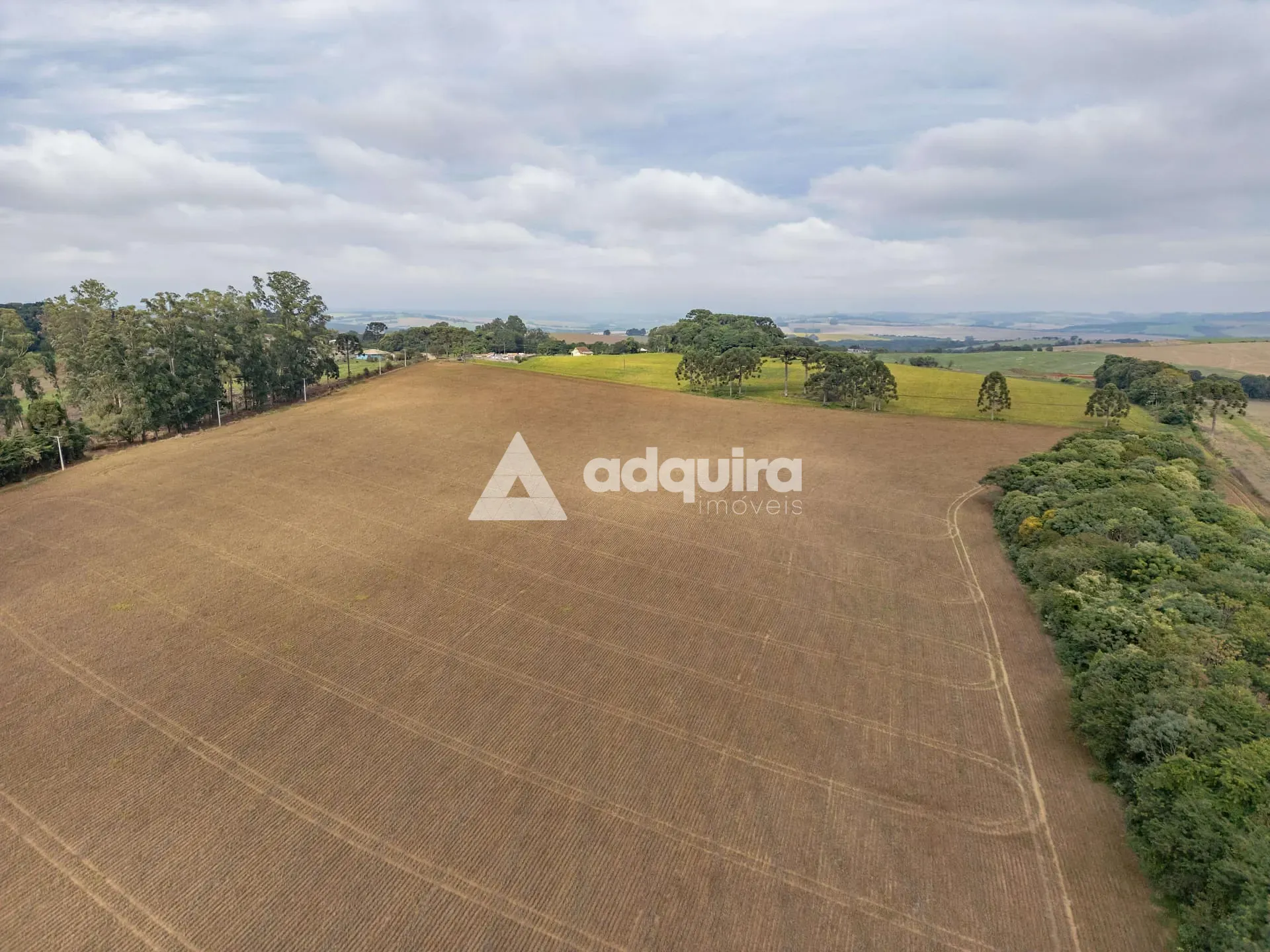 Fazenda, 16 hectares - Foto 3