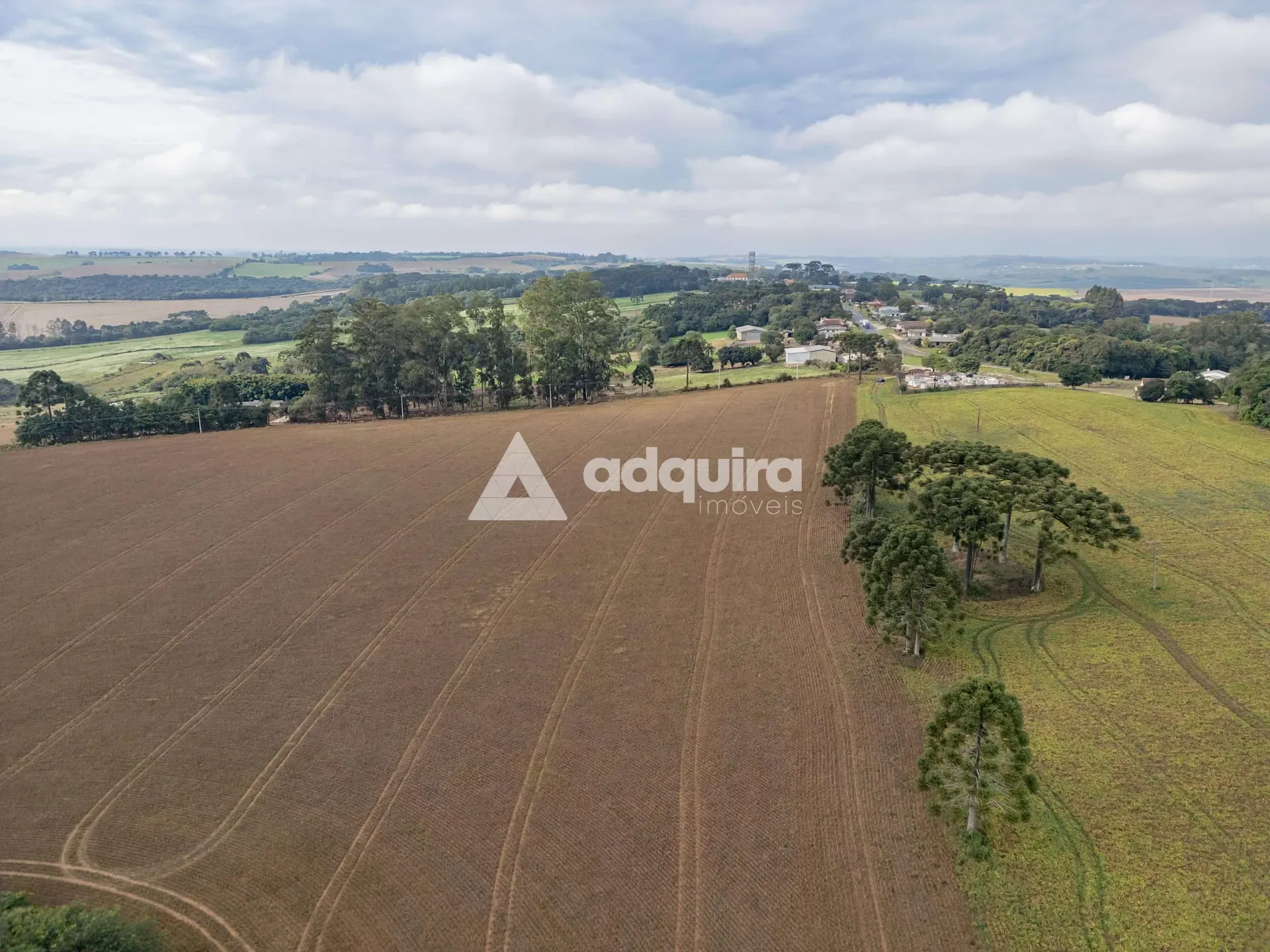 Fazenda, 16 hectares - Foto 6