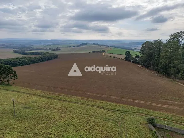 Fazenda com 163906m², à venda, no bairro Colônia do Lago em Palmeira