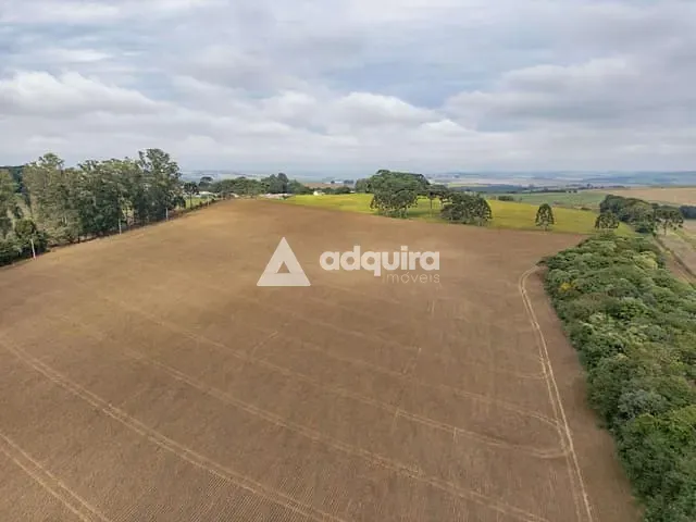 Fazenda com 163906m², à venda, no bairro Colônia do Lago em Palmeira