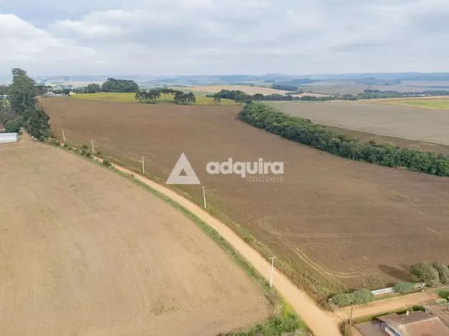 Fazenda com 163906m², à venda, no bairro Colônia do Lago em Palmeira