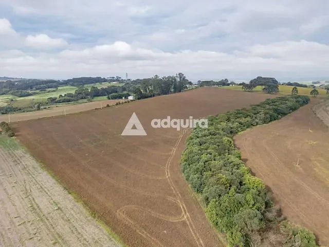 Fazenda com 163906m², à venda, no bairro Colônia do Lago em Palmeira