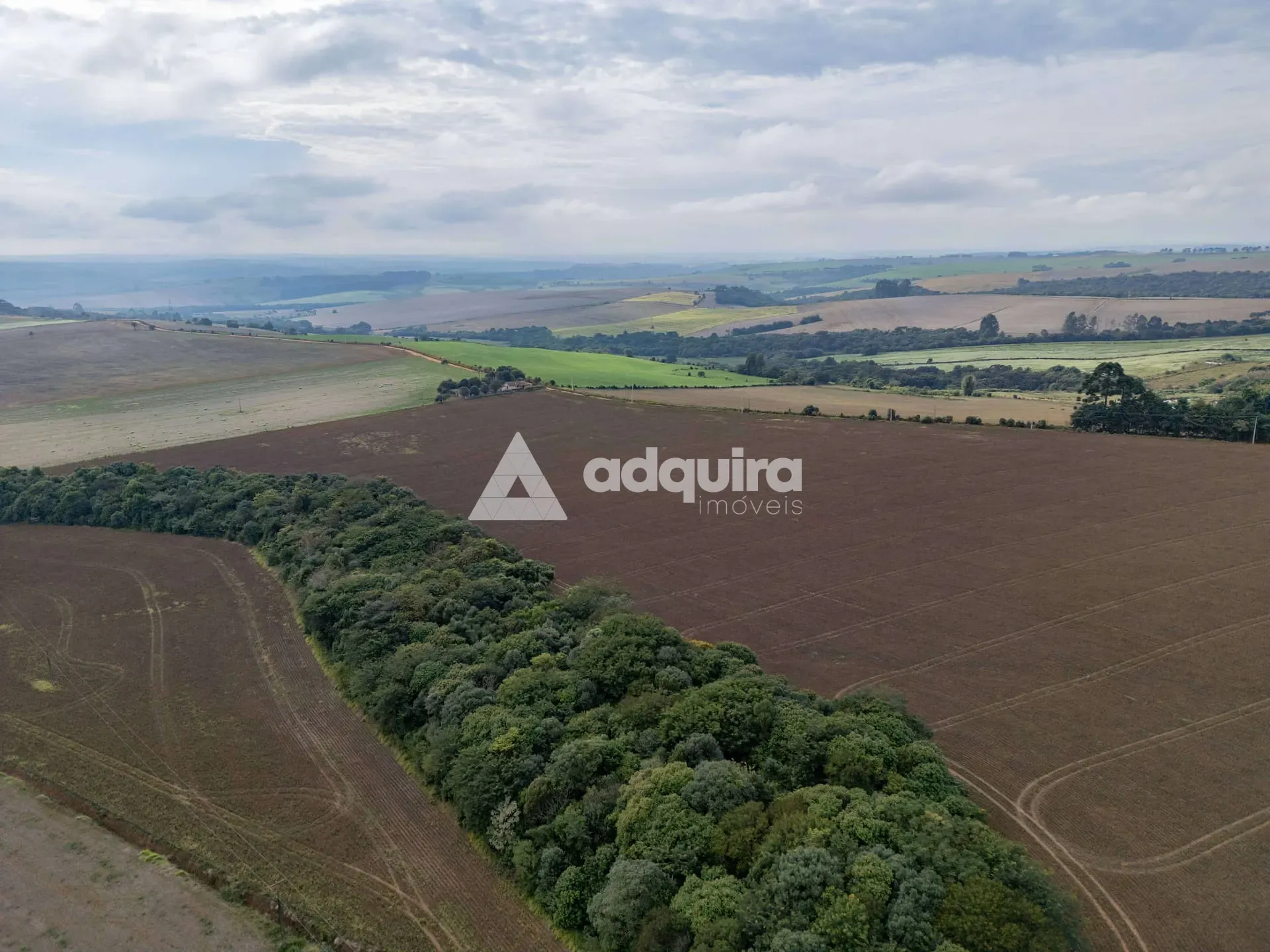Fazenda, 16 hectares - Foto 7