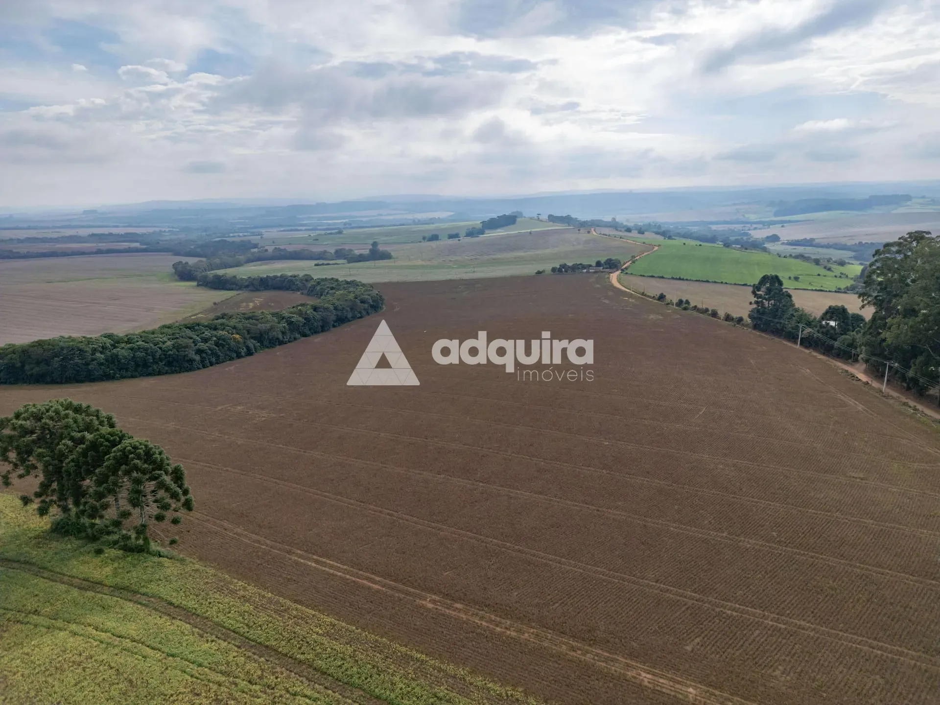 Fazenda, 16 hectares - Foto 8