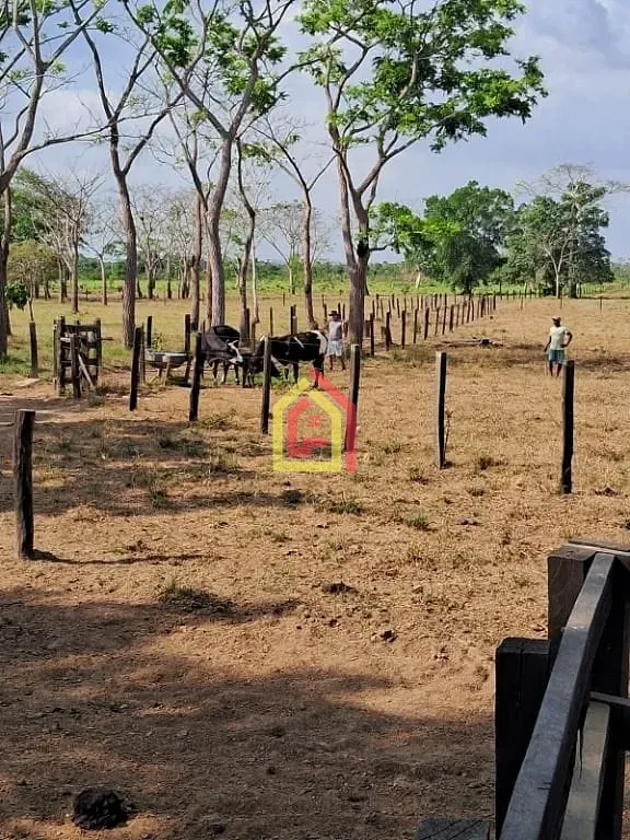 Rural à venda com 968000m² de terreno no Marabá Pioneira, Marabá (PA) — foto 9 de 19