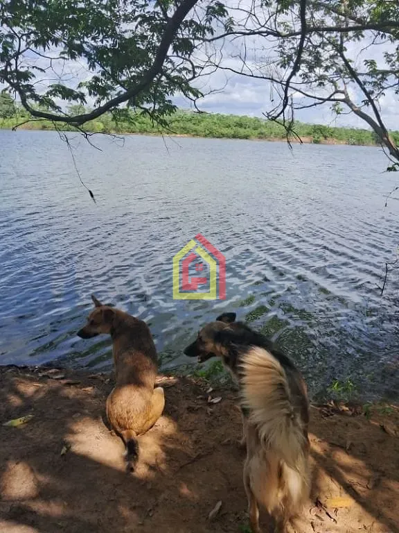 Rural à venda com 968000m² de terreno no Marabá Pioneira, Marabá (PA) — foto 4 de 19