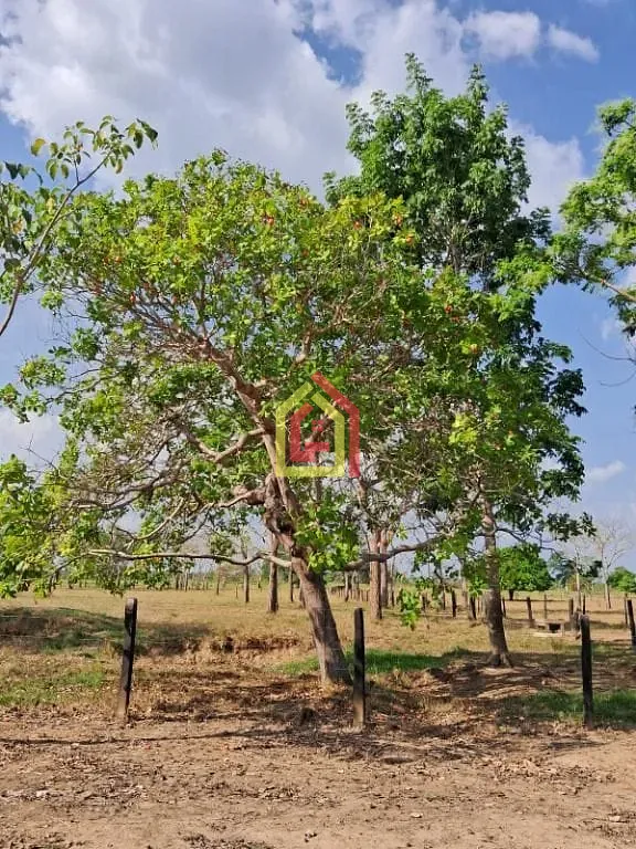 Rural à venda com 968000m² de terreno no Marabá Pioneira, Marabá (PA) — foto 8 de 19