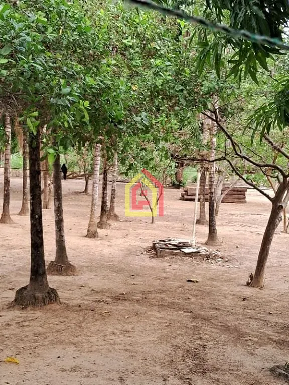 Rural à venda com 968000m² de terreno no Marabá Pioneira, Marabá (PA) — foto 5 de 19
