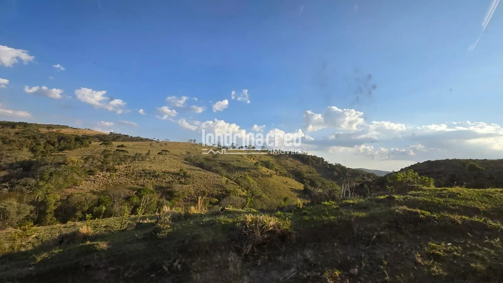 Fazenda, 340 hectares - Foto 35