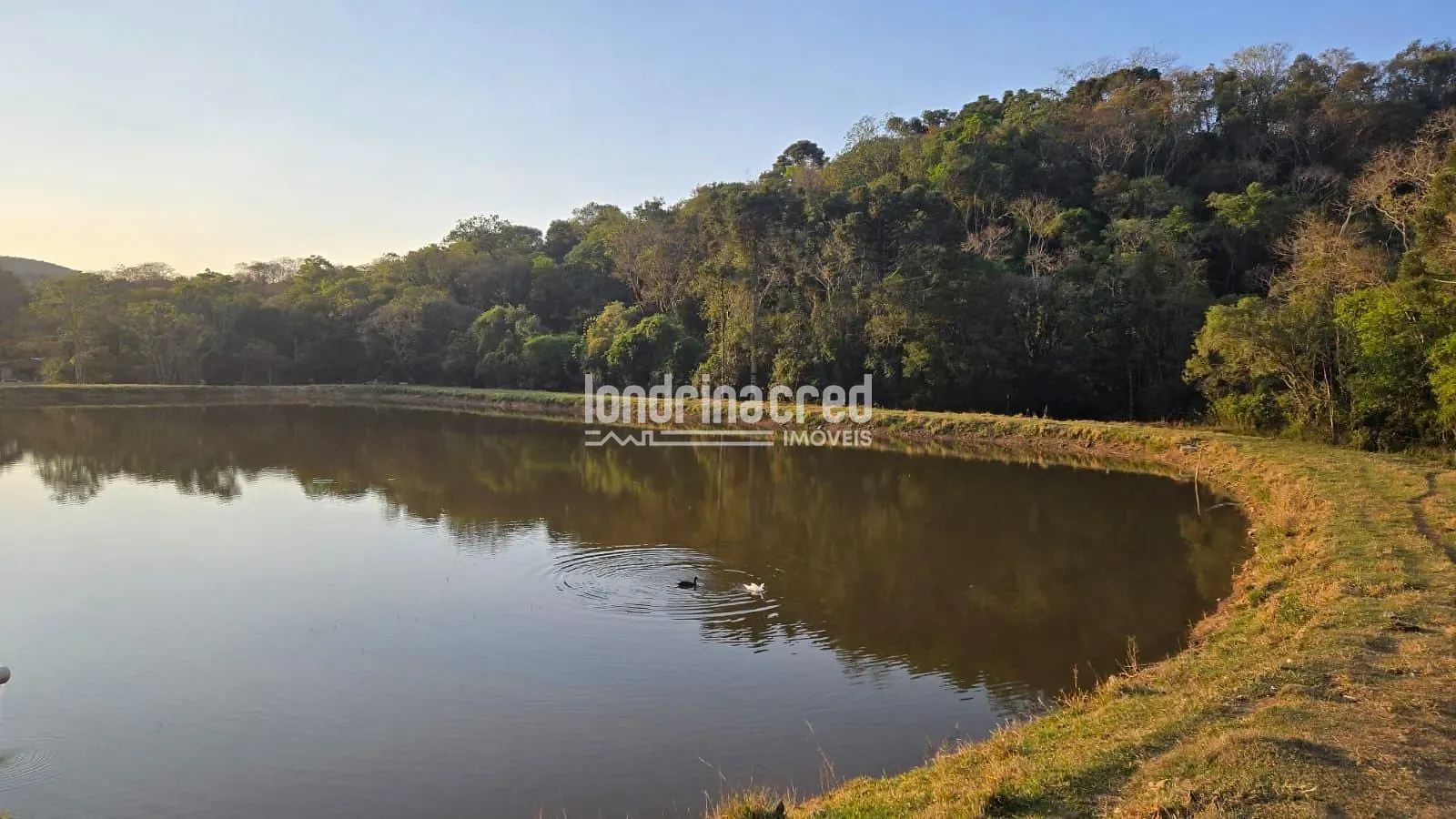 Fazenda, 340 hectares - Foto 61