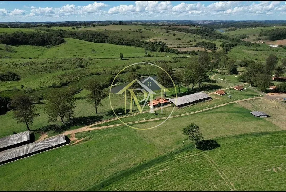 Fazenda, 322 hectares - Foto 3