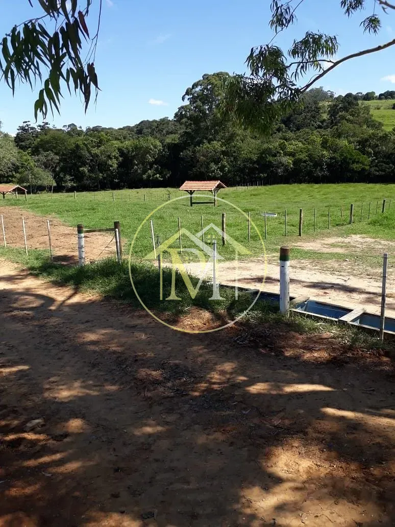 Fazenda, 322 hectares - Foto 13