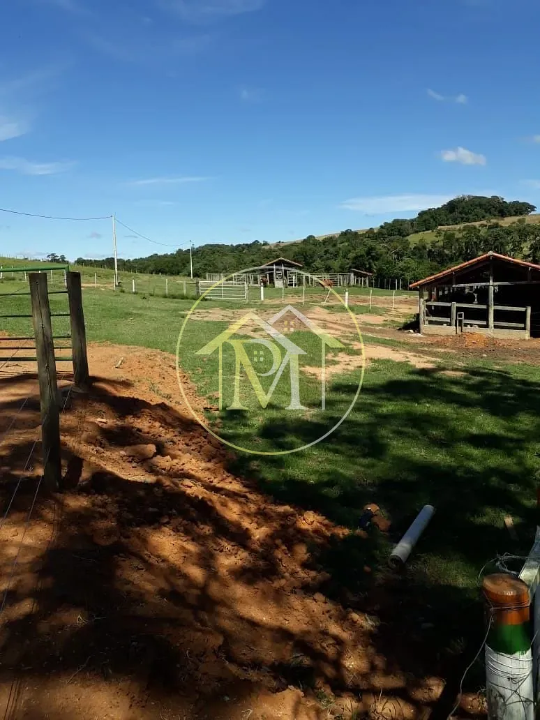 Fazenda, 322 hectares - Foto 17
