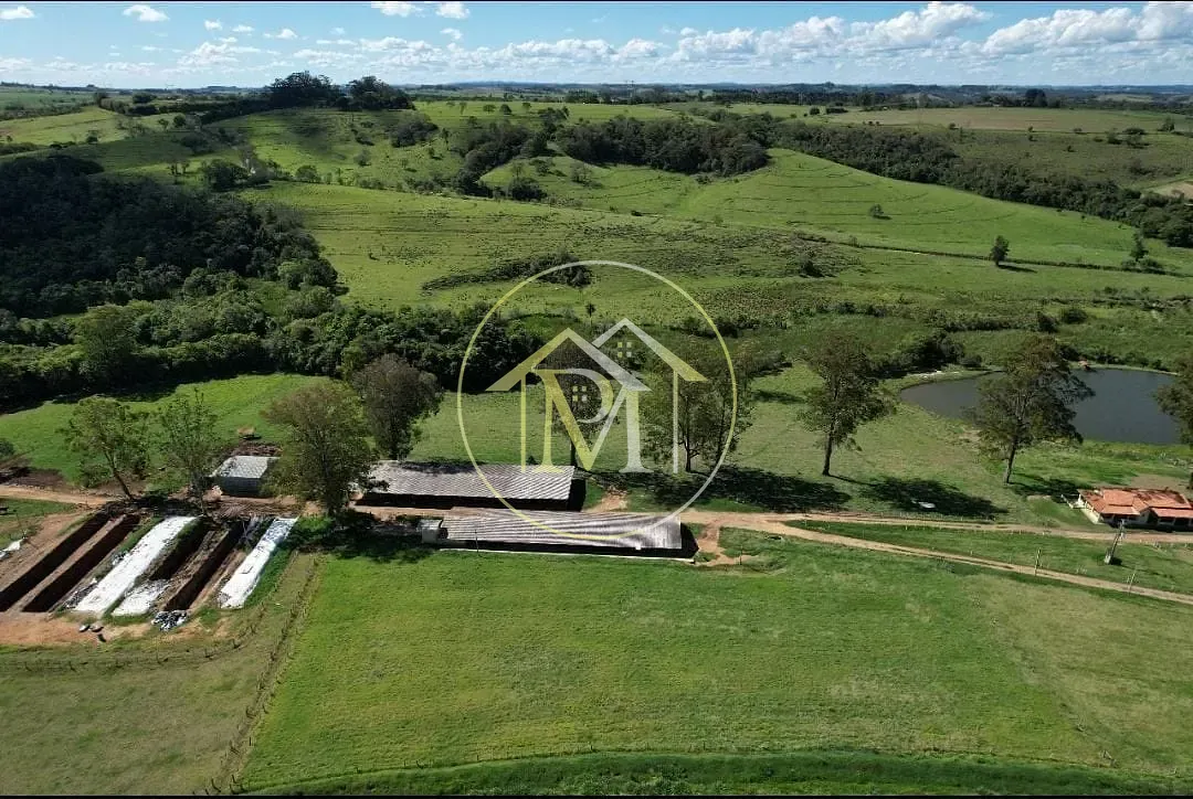Fazenda, 322 hectares - Foto 22