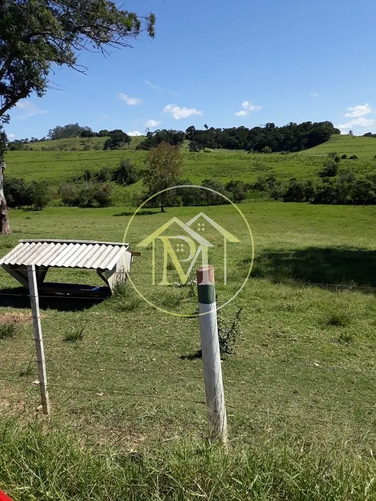 Fazenda, 322 hectares - Foto 7