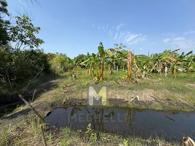Fazenda com 6500m² 1 quarto e 2 banheiros, à venda, no bairro Zona Rural em Serrana