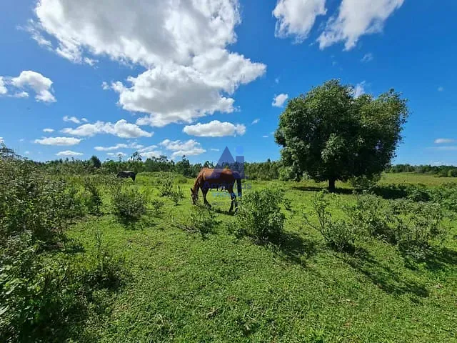 Fazenda com 1414m² 1 quarto e 1 banheiro, à venda, no bairro Fazendinha em Araruama