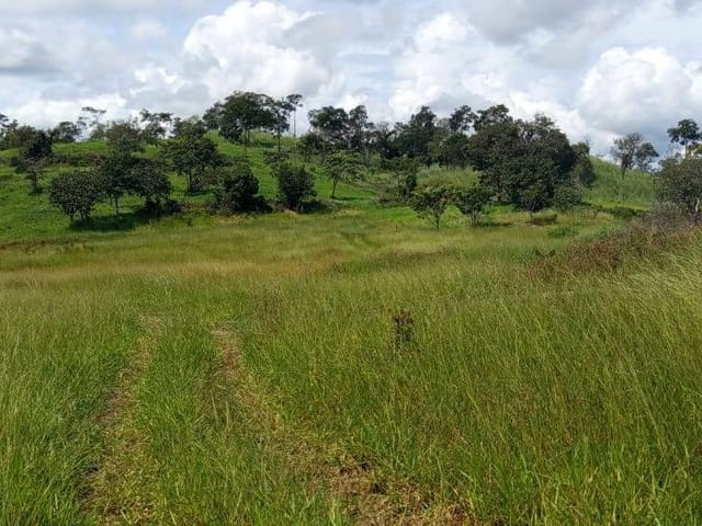 Fazenda com 8397400m² 4 quartos e 2 banheiros, à venda, no bairro zona rural em Rubiataba