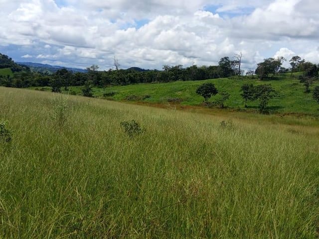 Fazenda com 8397400m² 4 quartos e 2 banheiros, à venda, no bairro zona rural em Rubiataba