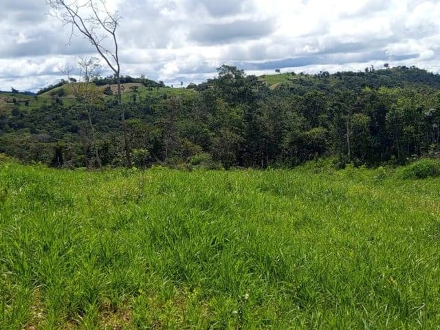 Fazenda com 8397400m² 4 quartos e 2 banheiros, à venda, no bairro zona rural em Rubiataba