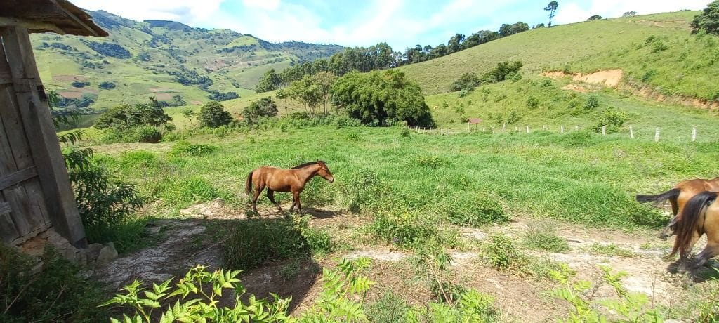 Rural / Chácara no Salto — foto 21