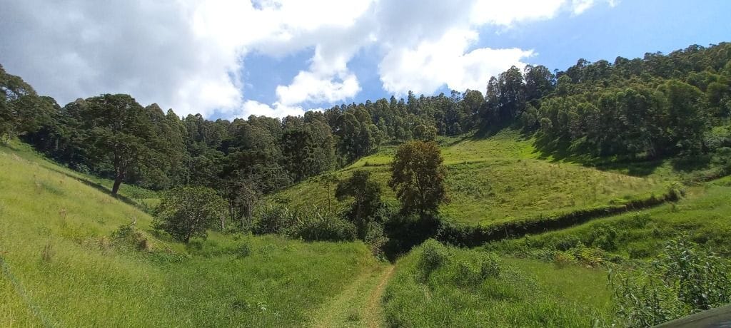 Rural / Chácara no Salto — foto 10