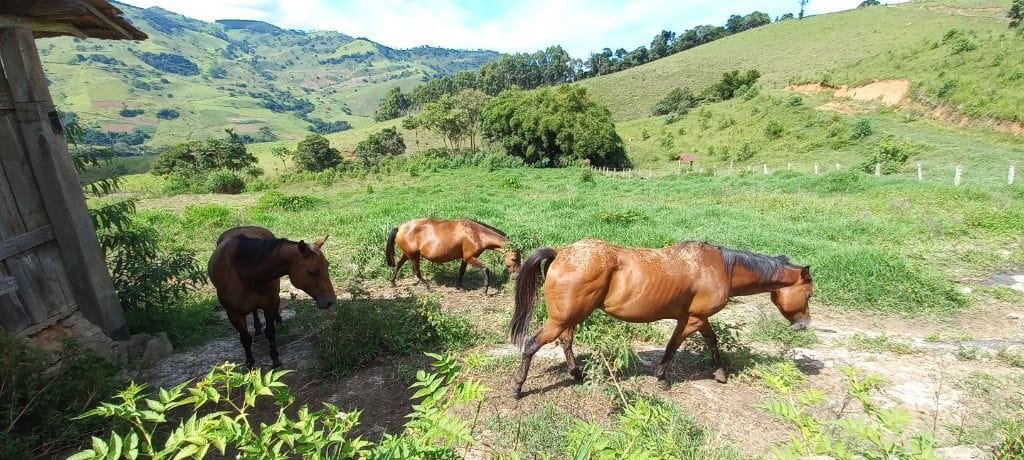Rural / Chácara no Salto — foto 19